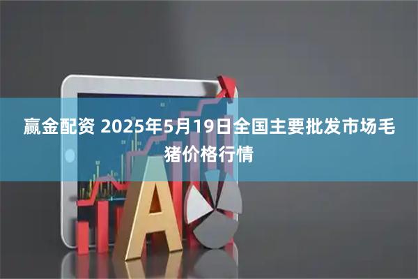 赢金配资 2025年5月19日全国主要批发市场毛猪价格行情