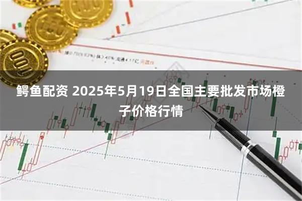 鳄鱼配资 2025年5月19日全国主要批发市场橙子价格行情
