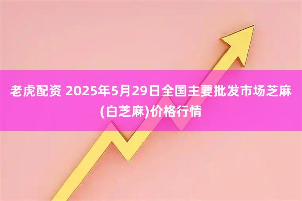 老虎配资 2025年5月29日全国主要批发市场芝麻(白芝麻)价格行情