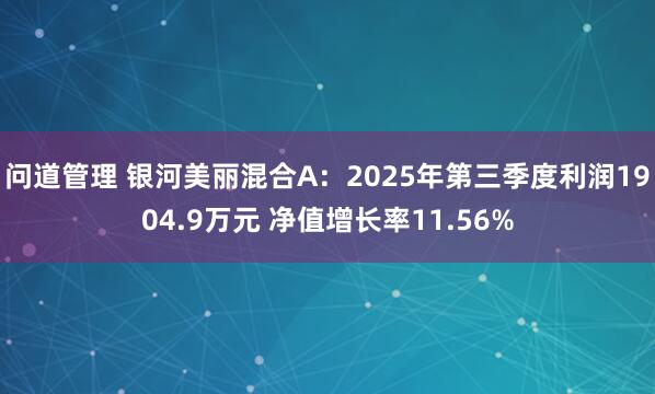 问道管理 银河美丽混合A：2025年第三季度利润1904.9万元 净值增长率11.56%