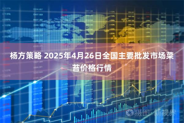杨方策略 2025年4月26日全国主要批发市场菜苔价格行情