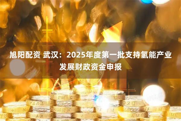旭阳配资 武汉：2025年度第一批支持氢能产业发展财政资金申报